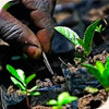 land grabbing_01